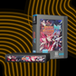 Demons of Asteborg DX limited edition for Neo Geo MVS: box and cartridge